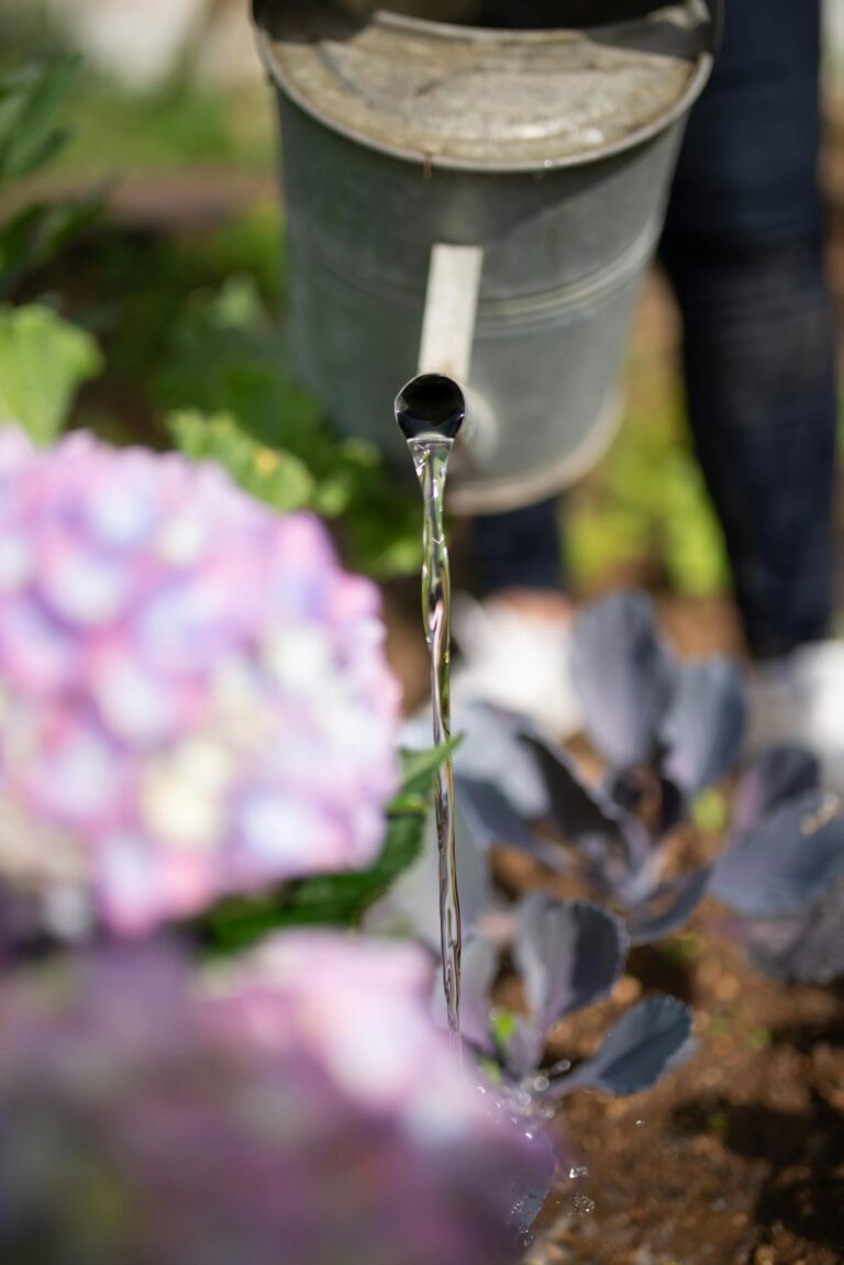 Close-up of watering can nurturing vibrant flowers in a garden, highlighting nature's beauty.